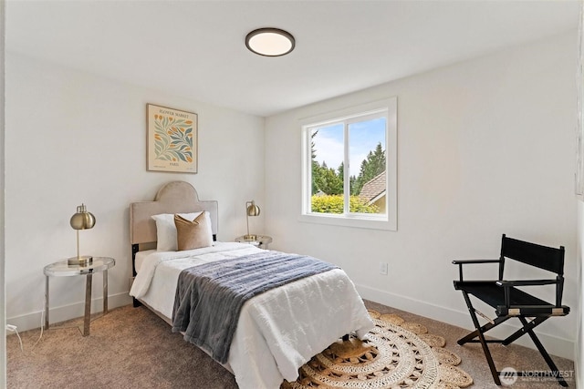236 S 316th Pl, Federal Way, WA 98003 - bedroom featuring baseboards and light carpet