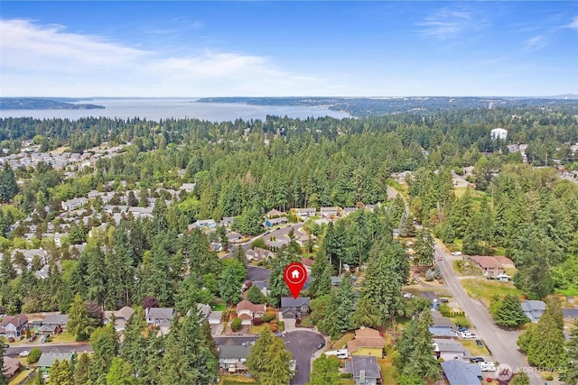 236 S 316th Pl, Federal Way, WA 98003 - aerial overview of property's location featuring a large body of water and a heavily wooded area