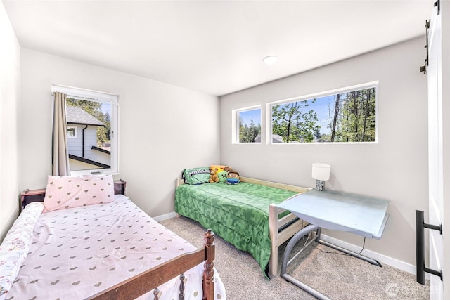 2912 Sandwood Ln, Blaine, WA 98230 - carpeted bedroom featuring multiple windows and baseboards