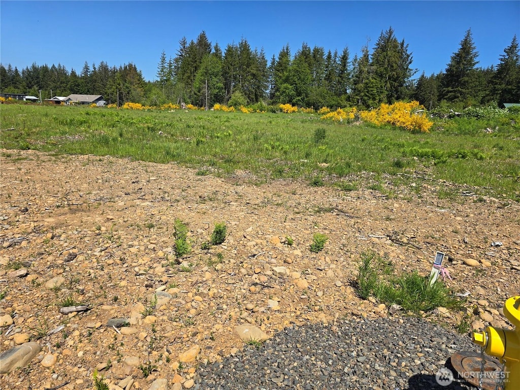 75 Newton Rd, Forks, WA 98331