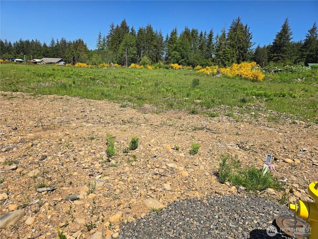 75 Newton Rd, Forks, WA 98331