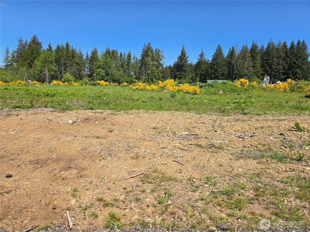 75 Newton Rd, Forks, WA 98331