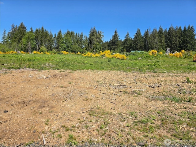 75 Newton Rd, Forks, WA 98331