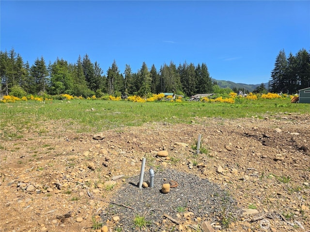 75 Newton Rd, Forks, WA 98331