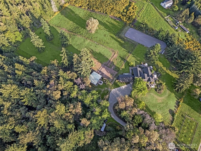26742 94th Ave SW, Vashon, WA 98070 - aerial view of property's location