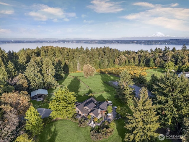 26742 94th Ave SW, Vashon, WA 98070 - aerial view of property and surrounding area with a large body of water and a heavily wooded area