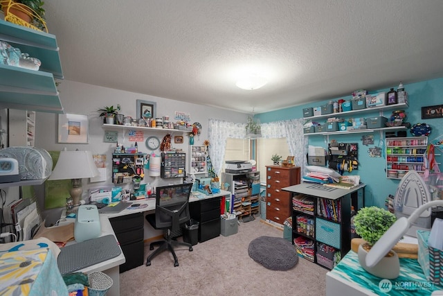 307 Hilltop Cir, Ephrata, WA 98823 - office featuring a textured ceiling and carpet floors
