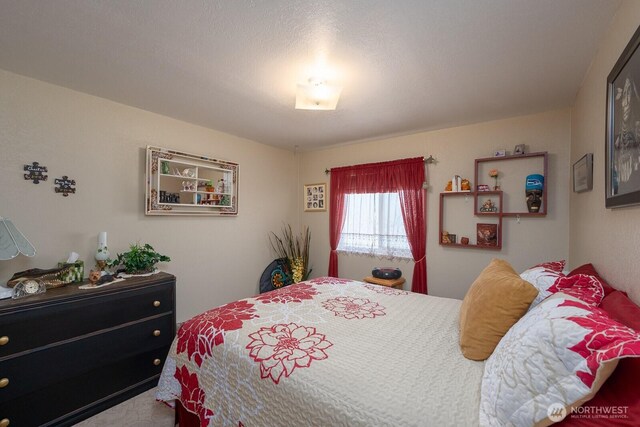 307 Hilltop Cir, Ephrata, WA 98823 - view of bedroom