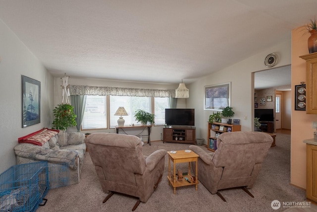 307 Hilltop Cir, Ephrata, WA 98823 - living room with carpet floors and vaulted ceiling