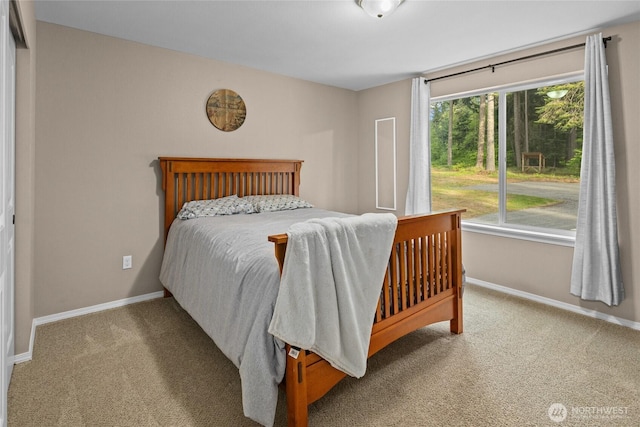 1091 Big Horn Way, Cle Elum, WA 98922 - carpeted bedroom with baseboards