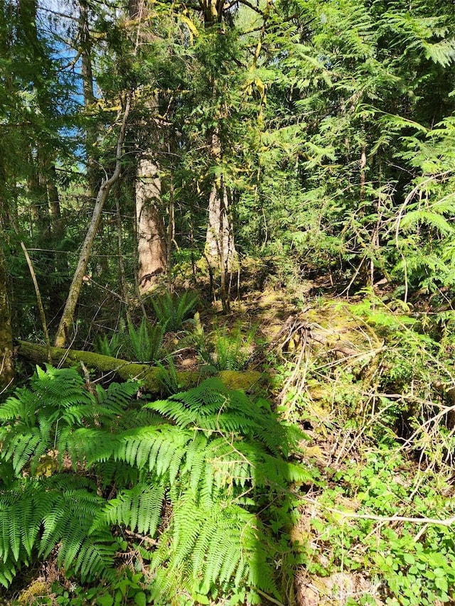 72LOT W Arrowhead Dr, Elma, WA 98541 - photo 4