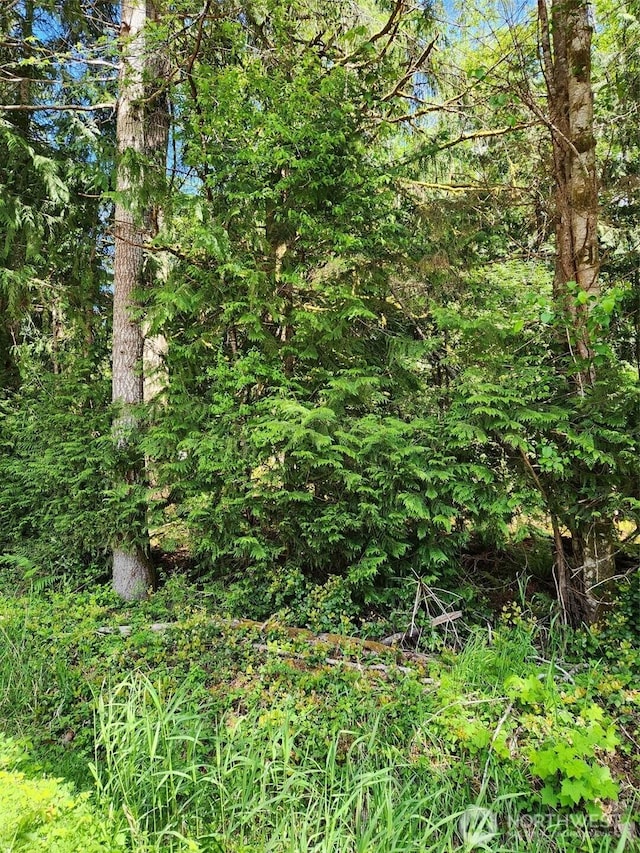 72LOT W Arrowhead Dr, Elma, WA 98541 - photo 5