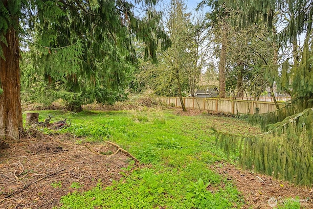 15421 50th Ave E, Tacoma, WA 98446 - view of yard