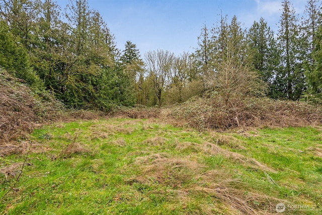 15421 50th Ave E, Tacoma, WA 98446 - view of undeveloped land