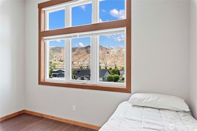 340 W Beach Dr, Orondo, WA 98843 - bedroom featuring wood finished floors, baseboards, and a mountain view