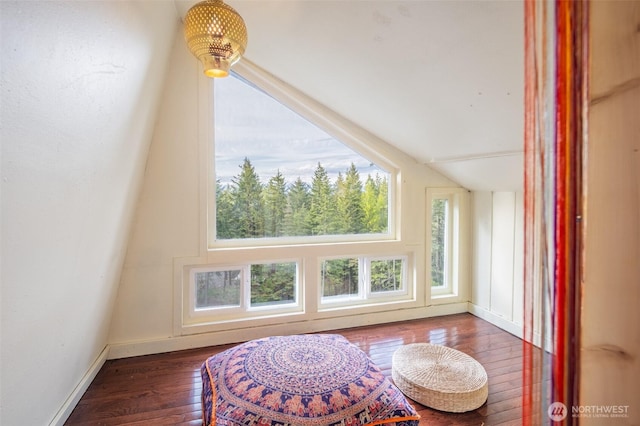451 Aspen Springs Rd, Cle Elum, WA 98922 - bonus room featuring wood-type flooring, lofted ceiling, and baseboards