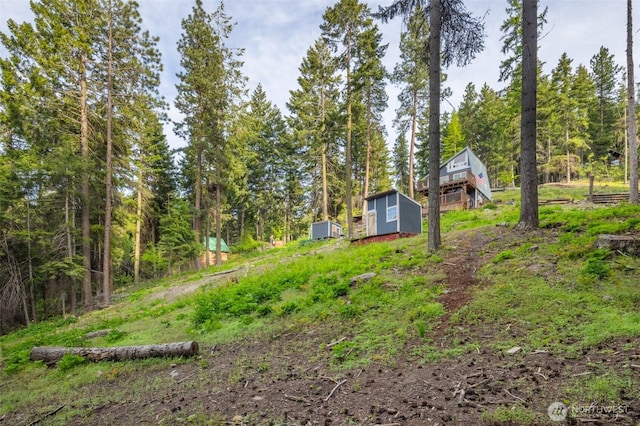 451 Aspen Springs Rd, Cle Elum, WA 98922 - view of yard