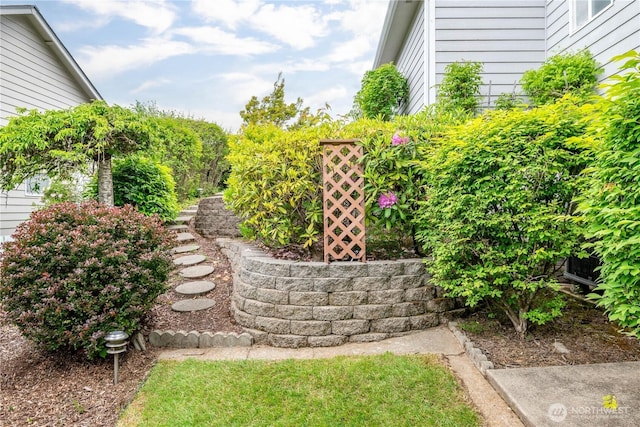 1426 Pries Ct, Kelso, WA 98626 - view of yard