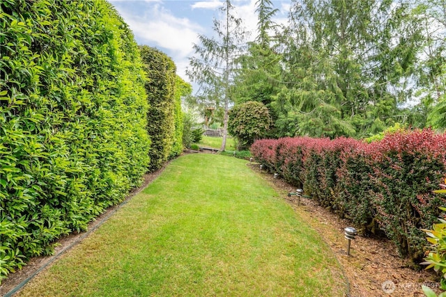 1426 Pries Ct, Kelso, WA 98626 - view of green lawn