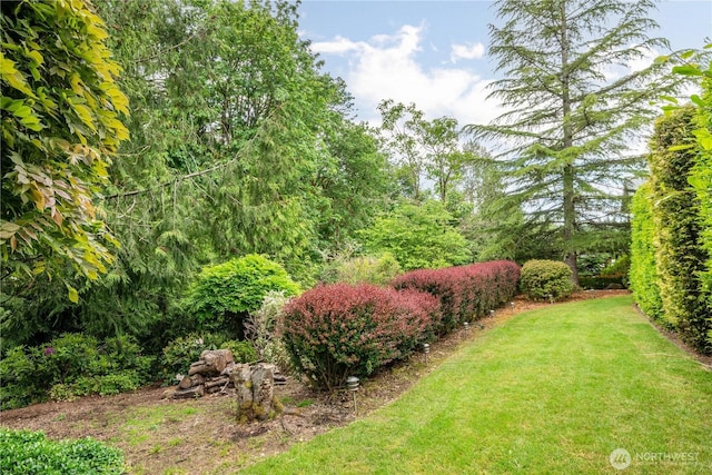 1426 Pries Ct, Kelso, WA 98626 - view of grassy yard