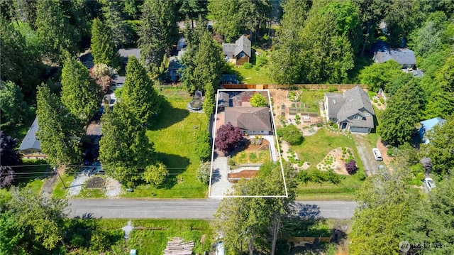 245 Shady Glen Ave, Point Roberts, WA 98281 - aerial view of property's location with property parcel outlined