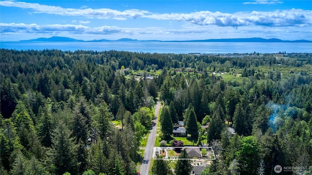 245 Shady Glen Ave, Point Roberts, WA 98281 - aerial view of property's location featuring a heavily wooded area, a water and mountain view, and property boundaries highlighted
