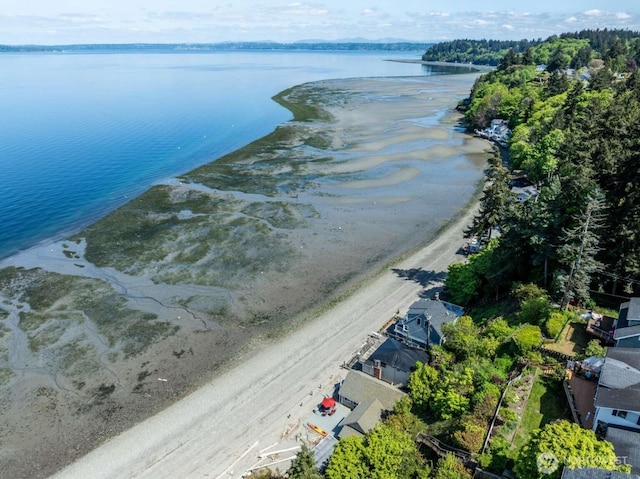 1719 Beach Dr NE, Tacoma, WA 98422 - bird's eye view of a large body of water