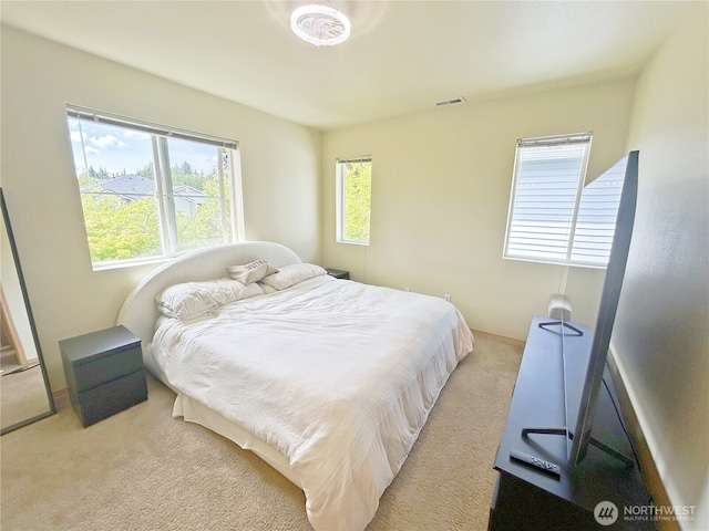 2648 Erwin Ave, Dupont, WA 98327 - carpeted bedroom featuring multiple windows