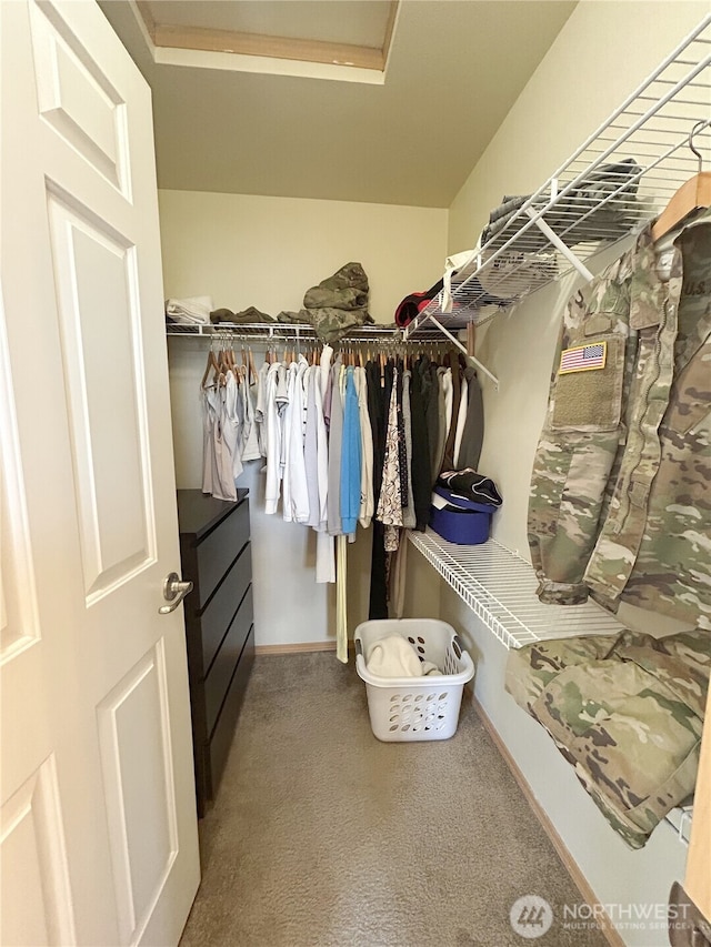 2648 Erwin Ave, Dupont, WA 98327 - spacious closet with carpet flooring
