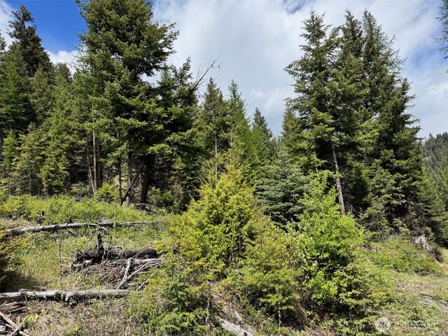 62 Cougar Creek Rd, Wauconda, WA 98859