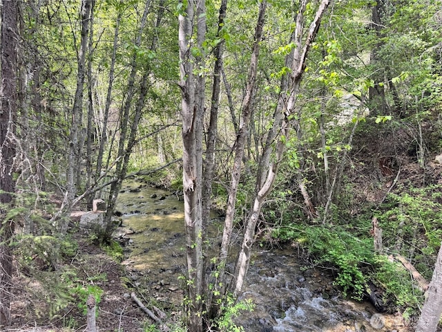 62 Cougar Creek Rd, Wauconda, WA 98859