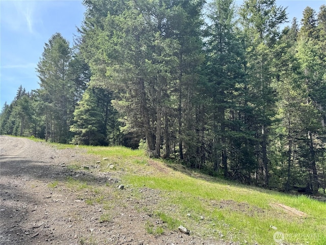 62 Cougar Creek Rd, Wauconda, WA 98859