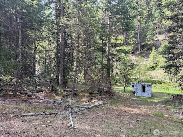 62 Cougar Creek Rd, Wauconda, WA 98859