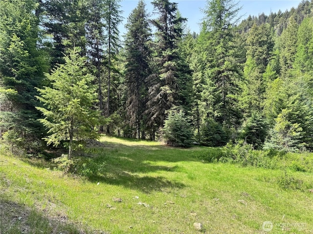 62 Cougar Creek Rd, Wauconda, WA 98859