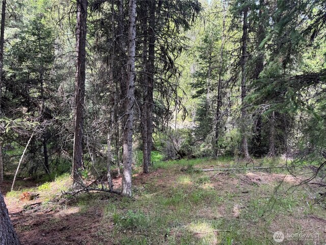 62 Cougar Creek Rd, Wauconda, WA 98859