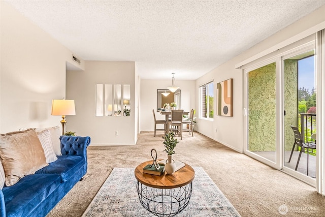 615 75th St SE Unit C-44, Everett, WA 98203 - carpeted living area featuring a textured ceiling and baseboards