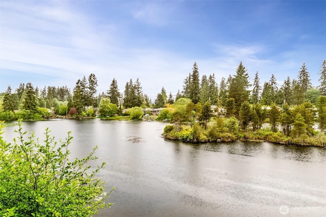 615 75th St SE Unit C-44, Everett, WA 98203 - water view
