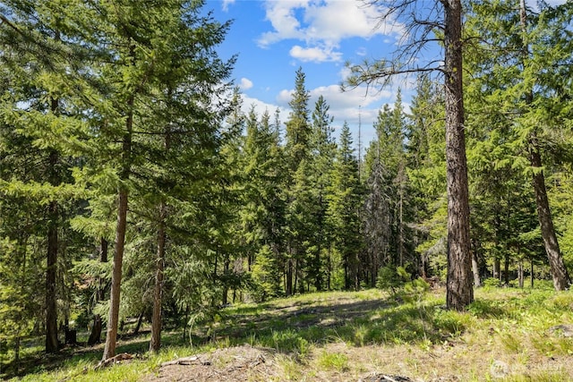 622 Wagon Wheel Rd, Cle Elum, WA 98922 - view of woods