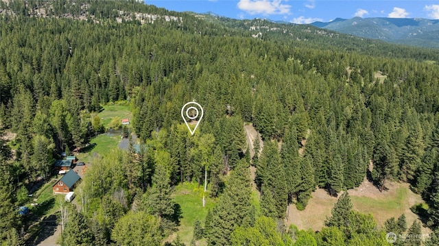 622 Wagon Wheel Rd, Cle Elum, WA 98922 - drone / aerial view of a forest and a mountain backdrop