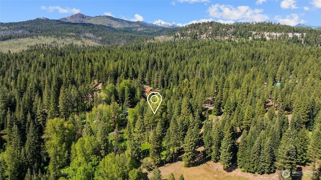 622 Wagon Wheel Rd, Cle Elum, WA 98922 - aerial view of a mountain backdrop and a forest