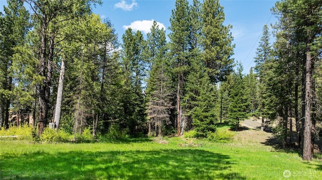 622 Wagon Wheel Rd, Cle Elum, WA 98922 - view of yard with a view of trees