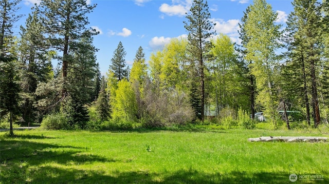 622 Wagon Wheel Rd, Cle Elum, WA 98922 - view of yard featuring a wooded view