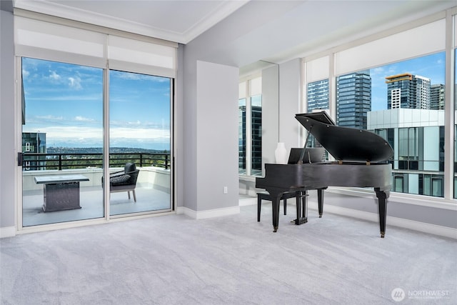 177 107th Ave NE Unit 2401, Bellevue, WA 98004 - living area with carpet flooring, baseboards, ornamental molding, and a view of city