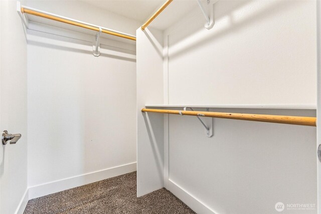 217 N Sandy Loop, Moses Lake, WA 98837 - spacious closet featuring carpet floors