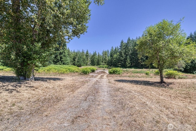 7 Crescent Valley Dr NW, Gig Harbor, WA 98332 - photo 38