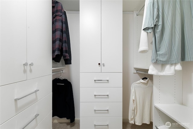 1525 NW 57th St Unit 109, Seattle, WA 98107 - view of walk in closet