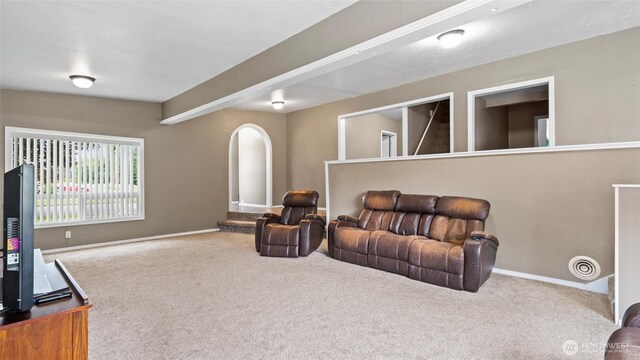 427 E Dayton Ave, Dayton, WA 99328 - living area featuring carpet flooring, baseboards, and arched walkways