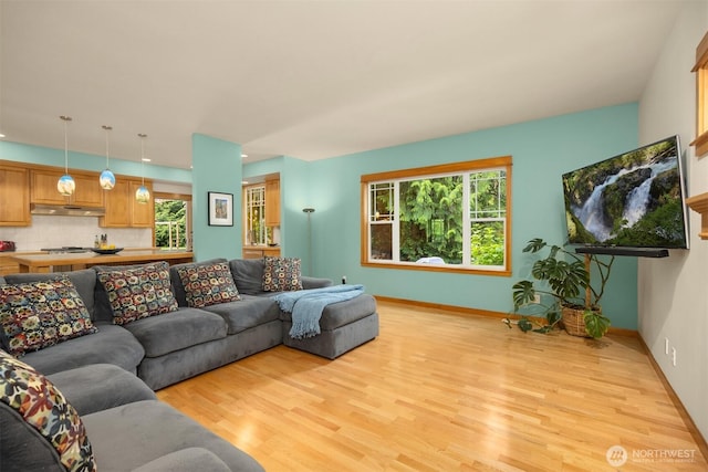 6570 Cedar Glade Ln, Bainbridge Island, WA 98110 - living room featuring light wood-style flooring, healthy amount of natural light, baseboards, and recessed lighting