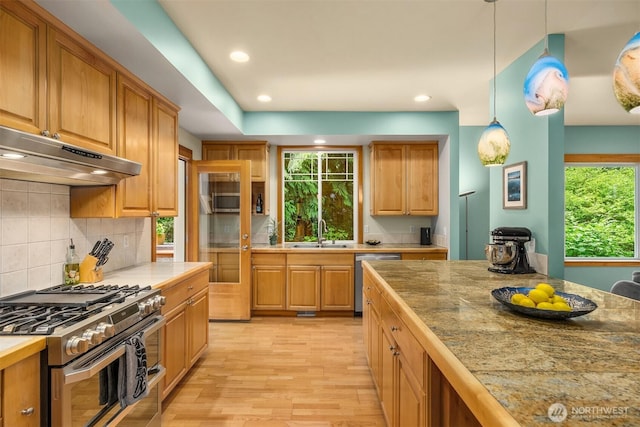 6570 Cedar Glade Ln, Bainbridge Island, WA 98110 - kitchen featuring stainless steel appliances, under cabinet range hood, light wood-style flooring, a sink, and tasteful backsplash