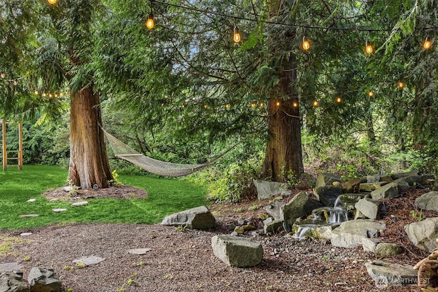 6570 Cedar Glade Ln, Bainbridge Island, WA 98110 - view of green lawn